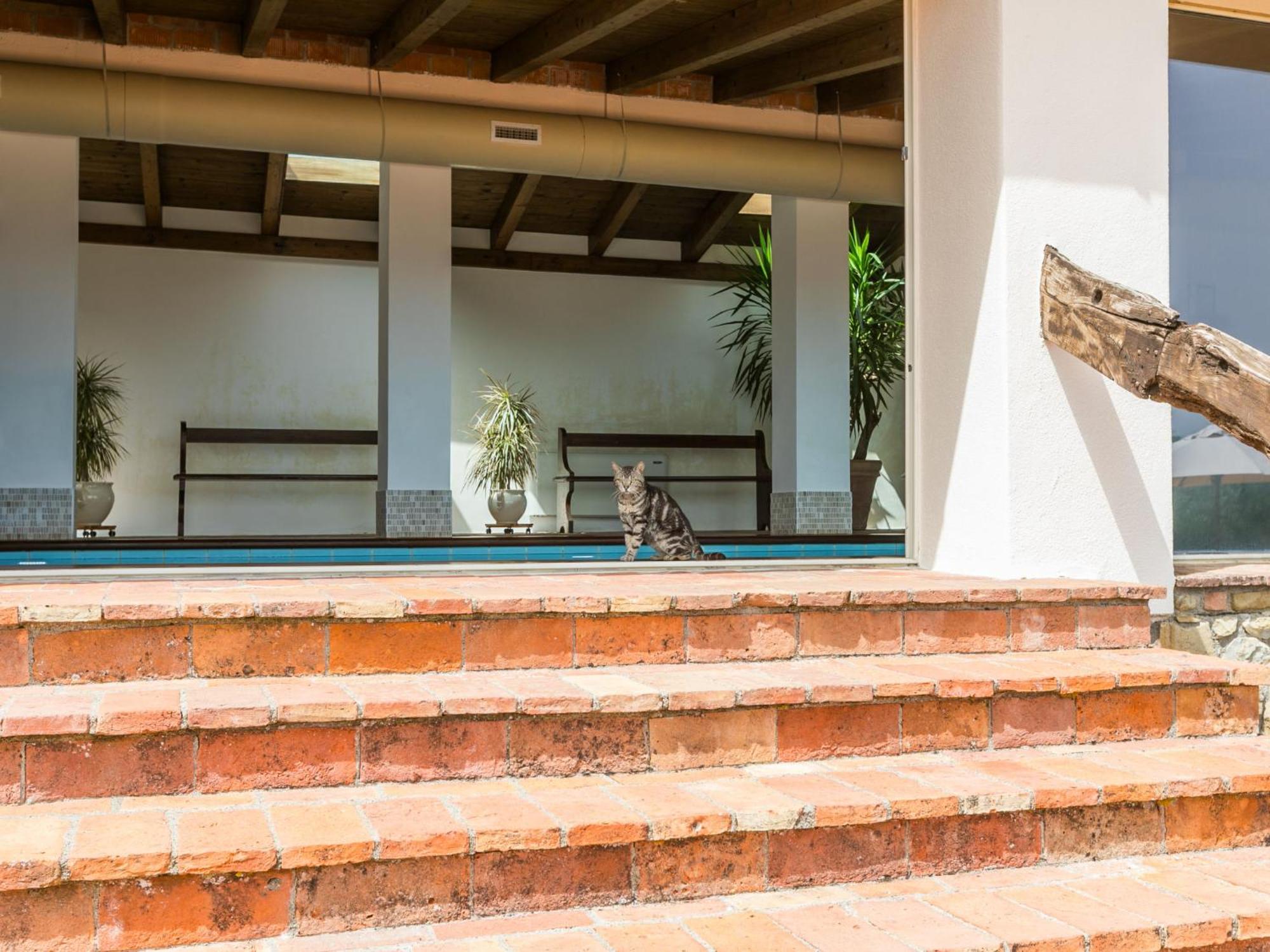 Holiday Home Ciliegiolo By Interhome Cinigiano Екстериор снимка